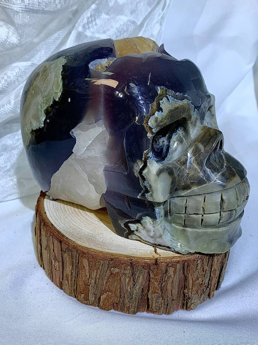 6.6LB Unique Natural Volcanic Agate Skull Quartz Specimen Crystal Heal Reiki